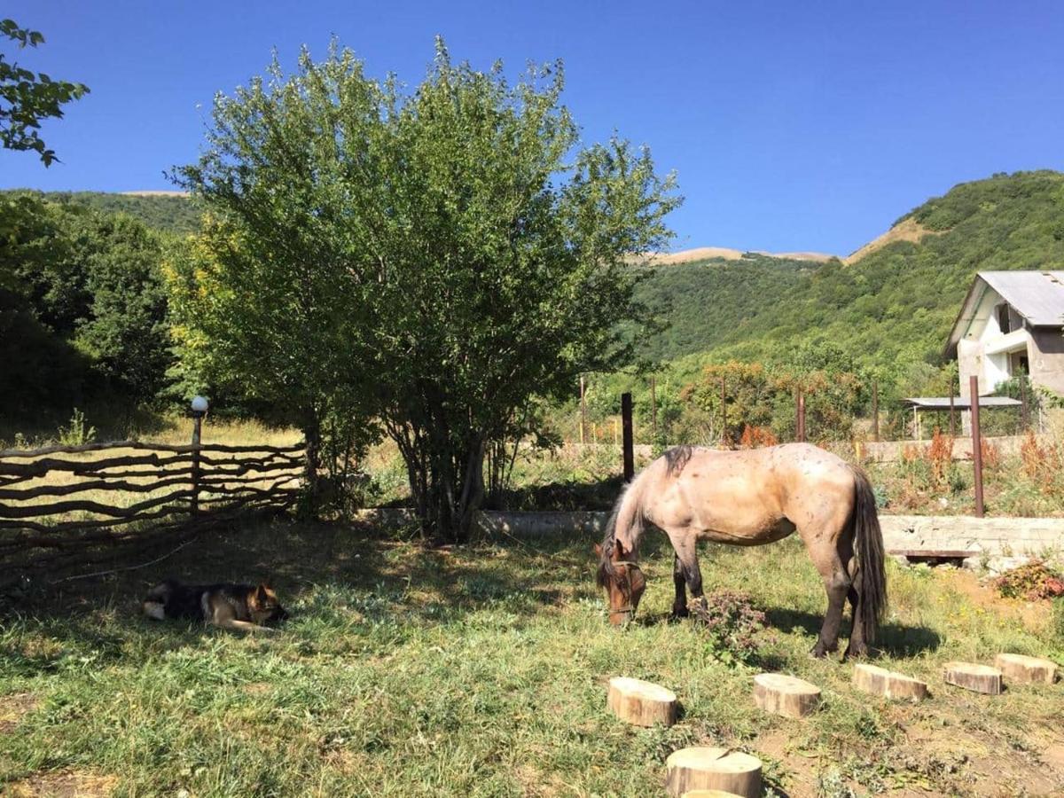 Vardeni Guesthouse Hrazdan Dış mekan fotoğraf